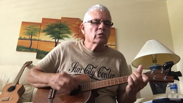 Wild World - Cat Stevens cover смотреть онлайн