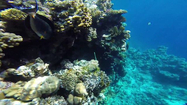 Даша и Алена / Египет / 2015 смотреть онлайн