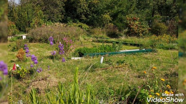 И снова 3 сентября... в 2024- на даче смотреть онлайн