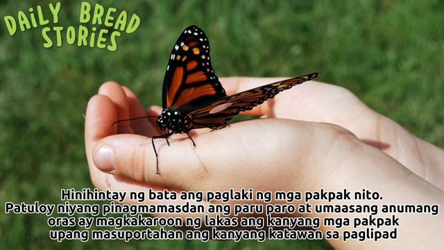 ANG MUNTING PARU-PARO | Tagalog Inspirational Story | Gintong Aral | @dailybreadstories смотреть онлайн