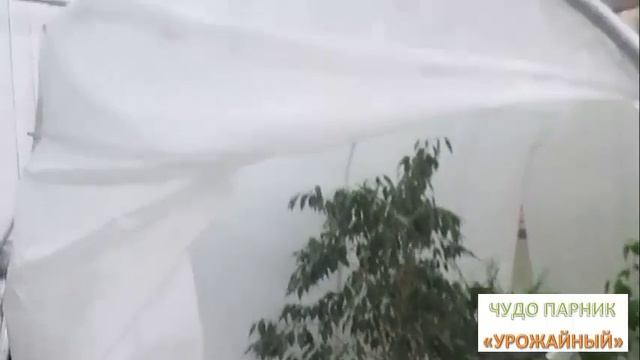 Чудо парник "Урожайный" смотреть онлайн