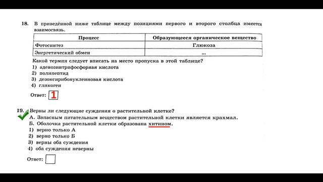 Разбор варианта ОГЭ по биологии 2020 года! смотреть онлайн