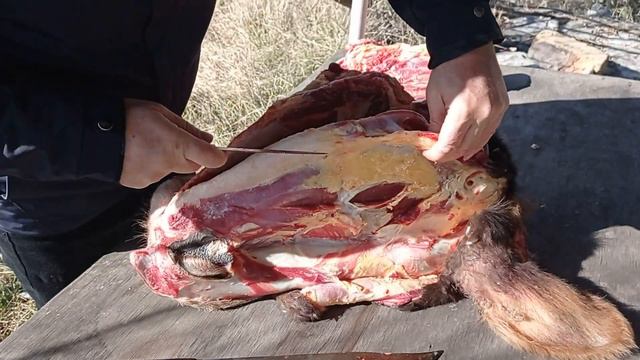 Разделка ГОВЯЖИЙ головы / Мясо из Говяжий головы смотреть онлайн