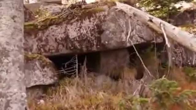 Древний город на Алтае смотреть онлайн