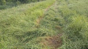 Сенокос 2023г., начало. Настройка роторной косилки вирекс. #мтз #фермер #хтз #работа #сено