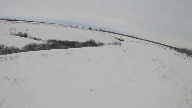 Охота на зайца забавный момент смотреть онлайн