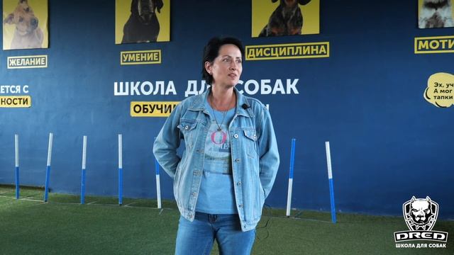 Отзыв о дрессировке | Немецкая овчарка Кристи | Школа для собак DRED | Дрессировка собак Украина смотреть онлайн