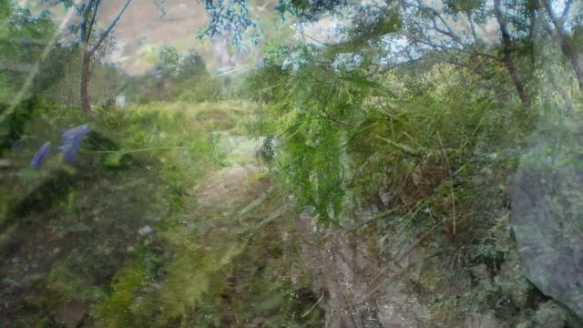 Урал, Парк "Оленьи Ручьи" летом, август 2009 смотреть онлайн