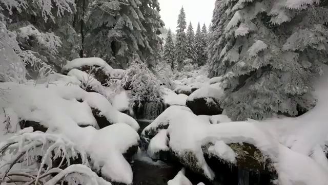 ??ОТ БЕССОННИЦЫ звуки ручья в лесу. ЗАСНЕТЕ ЗА 3 минуты. МЕДИТАЦИЯ. БЕЛЫЙ ШУМ. смотреть онлайн