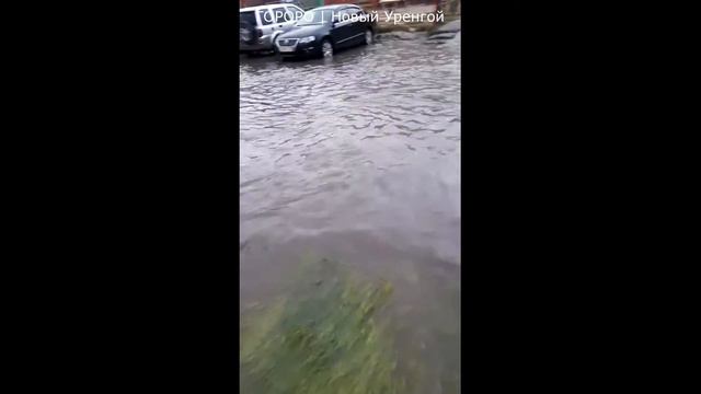 «Можно купаться!»: во дворах Нового Уренгоя образовались целые озера смотреть онлайн