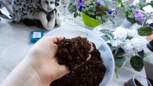 Торф для фиалок (грунт для фиалок)