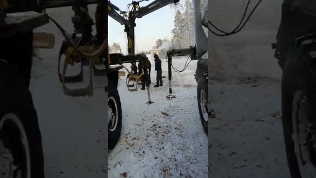 Тайга лес смотреть онлайн