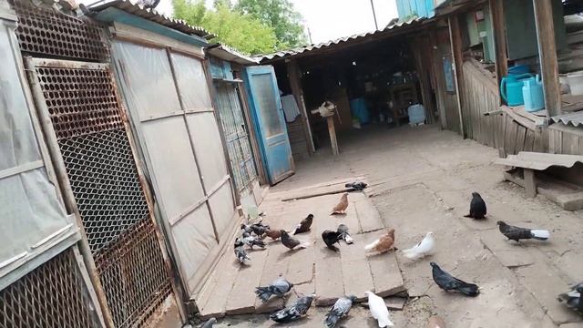 15 июня 2023 г. смотреть онлайн