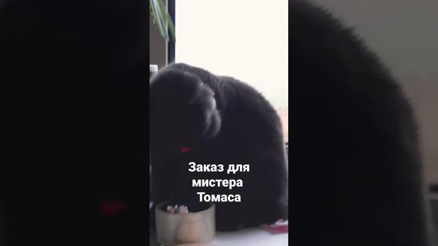 заказ смотреть онлайн