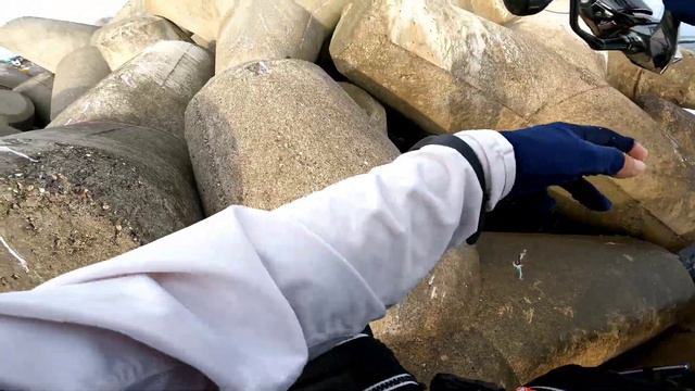 Макрель.Морская рыбалка с тетраподов в Южной Корее. смотреть онлайн