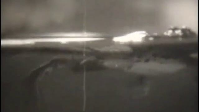 Внешнее строение и поведение лягушки смотреть онлайн