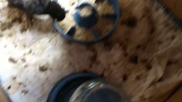 На 25 день натклунулся 1 утёнок смотреть онлайн