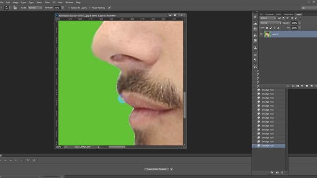 ВЕКТОРНАЯ МАСКА+ВОЛОСЫ