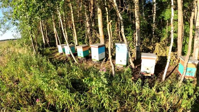 9 июля. Погода есть взятка нет смотреть онлайн