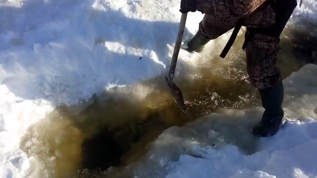 вскрываем озеро.замор 3 смотреть онлайн