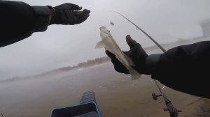 Рыбалка на фидер. Озеро  Удомля , Тверская область.  Зима 2019 г.г