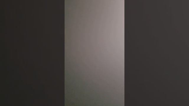 Inspired by Rachel Scott смотреть онлайн