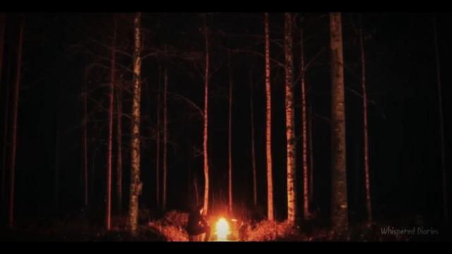 3 Terrifying True Camping Horror Stories (Vol. 3) смотреть онлайн