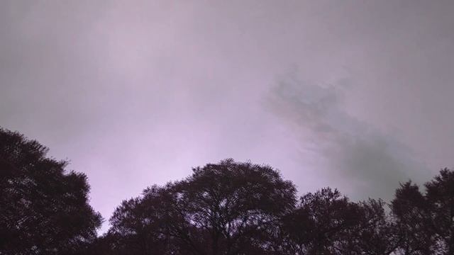 Will It Miku? (#7) Ibanez Mikro Bass/TC Spectra Drive смотреть онлайн