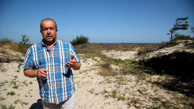 Куршская коса. Кусатели ворон Станислав Коновалов г Калининград смотреть онлайн