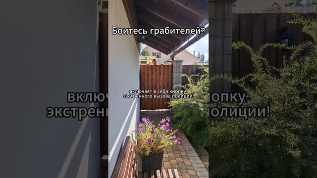 Боитесь грабителей? смотреть онлайн