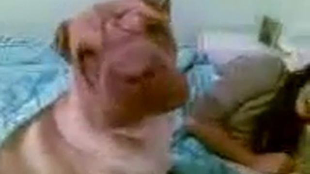 Buster want's to sleep смотреть онлайн