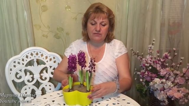 ГИАЦИНТ ЗИМОЙ . ЦВЕТЕНИЕ !!! смотреть онлайн