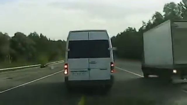 щенок решил испытать судьбу, или просто любит экстрим смотреть онлайн