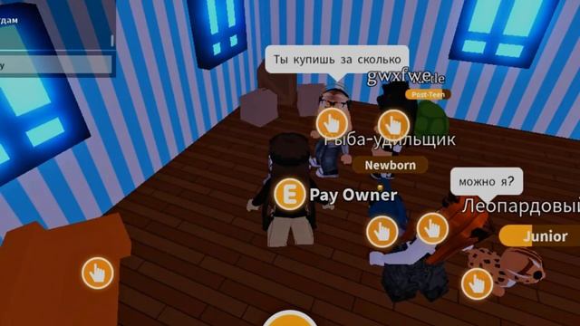 СКАМ ИЛИ НЕТ? роблокс, проверяю людей на тест на доверия. смотреть онлайн