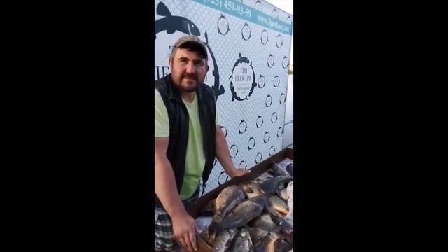 Клев в Трех Пескарях смотреть онлайн