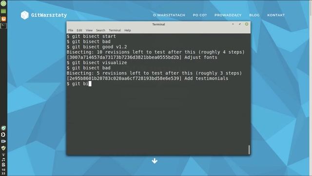 Git Bisect explanation with CodeceptJS demo смотреть онлайн