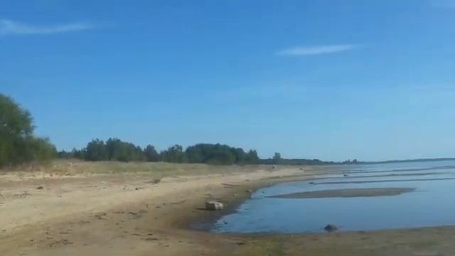 Удивительные находки на берегу Чудского озера смотреть онлайн