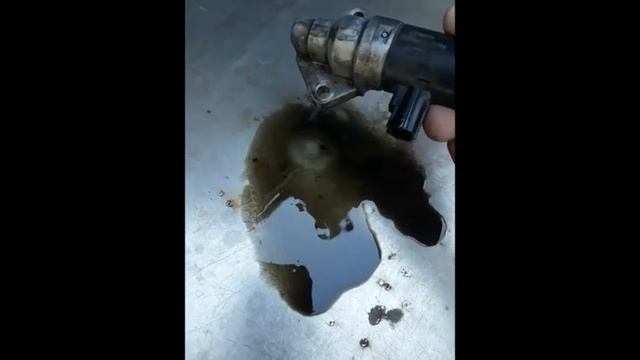 iac mantenimiento ford escort 99 смотреть онлайн