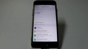 Экранное время и его настройки в iPhone