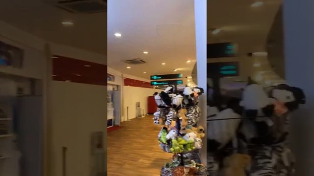 Male airport ✈️ #male #airport #maldives смотреть онлайн