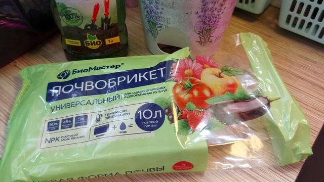 ПРОБУЮ НОВЫЙ ГРУНТ ДЛЯ ВЫСОКОРОСЛОЙ ЭУСТОМЫ ?/МОИ ОШИБКИ В СЕЗОНЕ 2021??♀️?♀️ смотреть онлайн