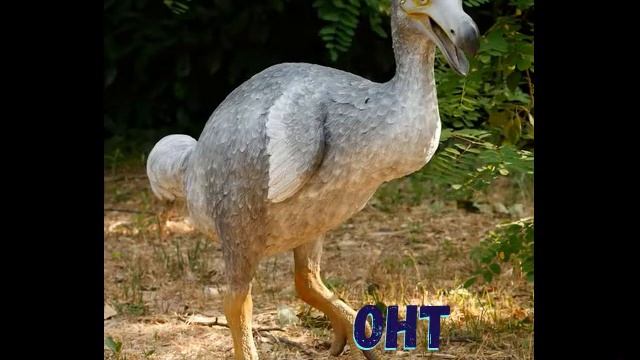 Черные страницы Красной книги смотреть онлайн