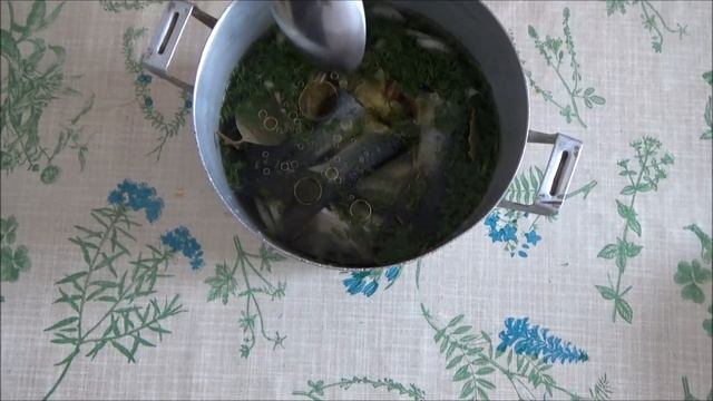 Сделай Свой Мир