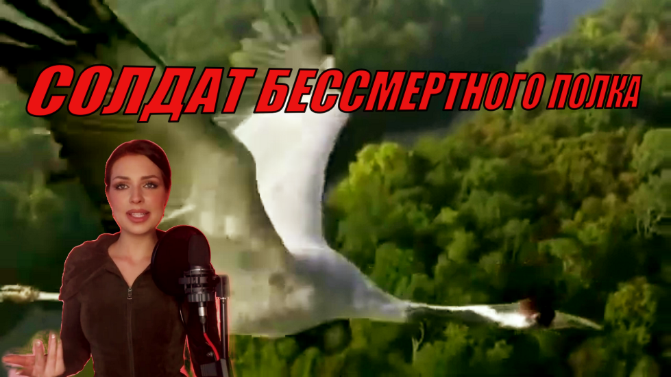 СОЛДАТ БЕССМЕРТНОГО ПОЛКА смотреть онлайн