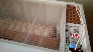 Инкубация яйца бройлера Кооб 500, инкубатор норма луппер С10!