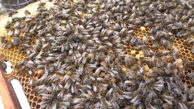 расслабляться нельзя скоро МАЙ и ТРУТНИ есть. смотреть онлайн
