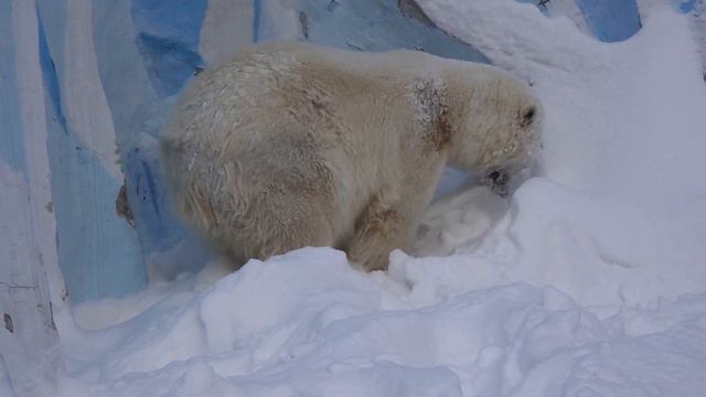 Герда на даче 18 02 2021 смотреть онлайн