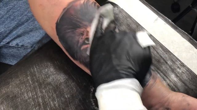 Лев реализм! Смотрим… смотреть онлайн