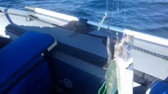 Рыбалка с лодки Групер на Чёрном море.(3) смотреть онлайн