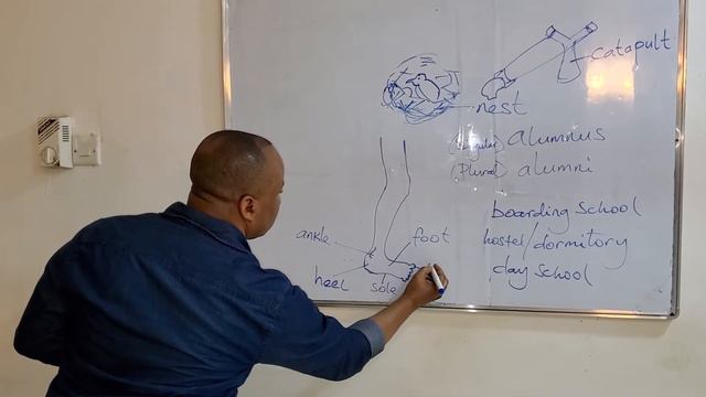 Level 2 Unit 3 Part 1 смотреть онлайн